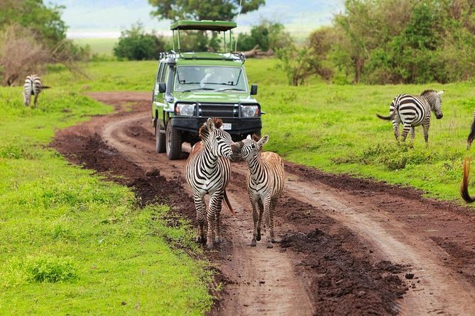 8 days Tanzania safari Tour to Nyerere, Mikumi, Ruaha and Udzungwa Mountains